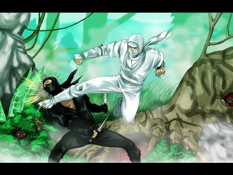 enter the ninja